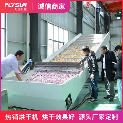 果蔬干燥機(jī) 果蔬網(wǎng)帶烘干機(jī) 果蔬烘干機(jī) 水果蔬菜干脆片烘干機(jī)